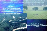 NUEVA INSTITUCIONALIDAD PARA LA AGRICULTURA Y FINANCIAMIENTO RURAL EN AMERICA LATINA Rafael A. Trejos, Area de Políticas y Comercio IICA Seminario de Financiamiento.