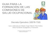Consejo de Salud Ocupacional Area de Formaciòn GUIA PARA LA FORMACIÒN DE LAS COMISIONES DE SALUD OCUPACIONAL Decreto Ejecutivo 18379-TSS Guía elaborada.