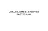 METABOLISMO ENERGÉTICO BACTERIANO. Metabolismo Reacciones de mantenimiento (catabolismo): Energía Poder reductor Precursores metabólicos Anabolismo: biosíntesis.
