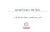Desarrollo Gerencial Los Negocios y su Dirección.