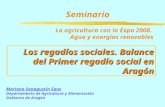 Los regadíos sociales. Balance del Primer regadío social en Aragón Seminario Mariano Sanagustín Sanz Departamento de Agricultura y Alimentación Gobierno.