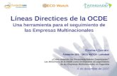 Líneas Directices de la OCDE Una herramienta para el seguimiento de las Empresas Multinacionales Esteban Serrani Fundación SES – OECD WATCH - Latindadd.