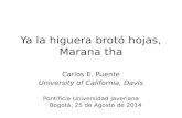 Ya la higuera brotó hojas, Marana tha Pontificia Universidad Javeriana Bogotá, 25 de Agosto de 2014 Carlos E. Puente University of California, Davis.