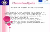 POLONIA-LA PEQUEÑA POLONIA-CRACOVIA « Este proyecto ha sido financiado con el apoyo de la Comisión Europea. Esta publicación (comunicación) compromete.