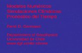 Modelos Numéricos Simulaciones Climáticas Pronóstico del Tiempo René D. Garreaud Departement of Geophysics Universidad de Chile .
