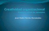 José Pedro Terrés Hernández. 1 La creatividad aplicada A.-Importancia de la creatividad en la vida cotidiana: La creatividad te muestra varias formas.