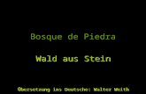 Bosque de Piedra Producto de la erosión de miles de años Wald aus Stein Wald aus Stein Übersetzung ins Deutsche: Walter Weith Übersetzung ins Deutsche: