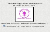 Bacteriologia de La TBC