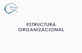 Estructura Organica Renap