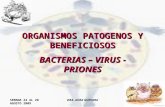 Sem 4 Organismos Patogenos y Beneficiosos 2009