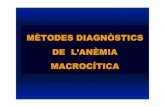 TEMA 9-3. Anèmia macrocítica