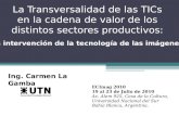Transversalidad de Las TICs- Presentacion Julio2010