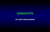 Gingivitis Clase v Semestre