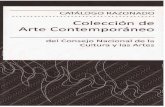 (2008) Catalogo Razonado Coleccion Arte Contemporaneo CNCA