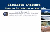 Glaciares Chilenos Reservas Estratégicas de Agua Dulce Roxana Bórquez G. Ingeniero en Recursos Naturales Renovables Magíster en Gestión y Políticas Públicas.