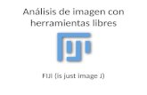 Análisis de imagen con herramientas libres FIJI (is just image J)