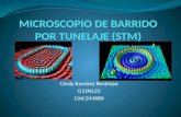 Cindy Ramírez Restrepo G11NL35 Cód:244686. El Microscopio de Barrido por Tunelaje (Scanning Tunneling Microscope STM) fue desarrollado en 1981 por Gerd.