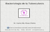 Bacteriología de la Tuberculosis Dr. Carlos Ma. Rivas Chetto CENTRO DE REFERENCIA NACIONAL PARA MYCOBACTERIAS 18 de julio 2175 6to. Piso. Tel/fax: 403-1975.