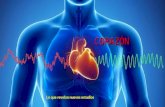 CORAZÓN Lo que revelan nuevos estudios Son estudios realizados en los laboratorios del Instituto Heartmath, la Universidad de Oxford, la de Stanford.