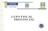 LUPA FISCAL PROVINCIAL. ¿QUE VEREMOS HOY?  El Presupuesto Nacional en Mendoza  Ejecución del presupuesto Provincial 2004.