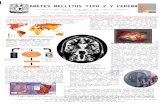 DIABETES MELLITUS TIPO 2 Y CEREBRO Imagen de un paciente con DMT2 mediante resonancia magnética (IRM) se observa una disminución del hipocampo (H) y la.