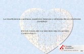La insuficiencia cardiaca, aspectos básicos y clínicos de un síndrome complejo PATOLOGÍA DE LA MICROCIRCULACIÓN CORONARIA.