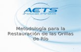 1 Metodología para la Restauración de las Orillas de Río.