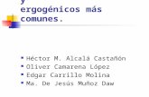 Suplementos dietéticos y ergogénicos más comunes. Héctor M. Alcalá Castañón Oliver Camarena López Edgar Carrillo Molina Ma. De Jesús Muñoz Daw.