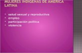 salud sexual y reproductiva  empleo  participación política  violencia.
