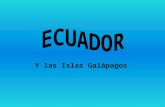 Y las Islas Galápagos. 2 ECUADOR Situación geográfica Datos básicos Clima Flora y Fauna Historia Arte y Cultura Turismo –Información práctica –Transporte.