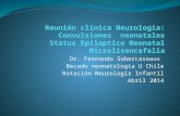 Dr. Fernando Subercaseaux Becado neonatología U Chile Rotación Neurología Infantil Abril 2014.