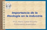 Importancia de la Reología en la Industria Prof. María Isabel Briceño Fenómenos Avanzados.