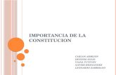 IMPORTANCIA DE LA CONSTITUCION CARLOS ARMIJOS DENISSE SOLIS VIANA TUTIVEN XAVIER HERNANDEZ LEONARDO ZAMBRANO.