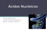 Ácidos Nucleicos Presentado por: David Daniel Monge C. Josué Daniel Díaz D.