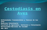 Enfermedades Transmisibles y Tóxicas de las aves Medicina Veterinaria Facultad de Agronomía, Zootecnia y Veterinaria Universidad Nacional de Tucumán Año.