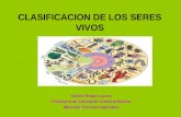 Karina Rojas Lucero Profesora de Educación General Básica Mención Ciencias Naturales CLASIFICACION DE LOS SERES VIVOS.