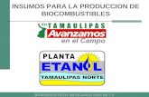INSUMOS PARA LA PRODUCCION DE BIOCOMBUSTIBLES BIOENERGETICOS MEXICANOS SAPI DE CV.