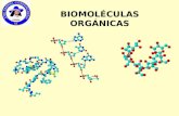 BIOMOLÉCULAS ORGÁNICAS. Biomoléculas La célula está constituida por dos tipos de biomoléculas: las inorgánicas y las orgánicas. Dentro del primer grupo.