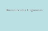Moléculas orgánicas Compuestos orgánicos: Son aquellas moléculas que tienen un esqueleto de carbono junto con algunos átomos de hidrógeno –¿Cuál de las.