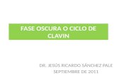 FASE OSCURA O CICLO DE CLAVIN DR. JESÚS RICARDO SÁNCHEZ PALE SEPTIEMBRE DE 2011.