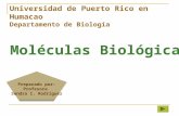 Moléculas Biológicas Preparado por: Profesora Sandra I. Rodríguez Universidad de Puerto Rico en Humacao Departamento de Biología.