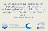 La experiencia europea en recuperación de stocks sobreexplotados. El plan de recuperación de la merluza sur. Santiago Cerviño.