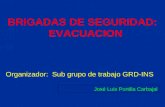 BRIGADAS DE SEGURIDAD: EVACUACION Organizador: Sub grupo de trabajo GRD-INS José Luis Portilla Carbajal.
