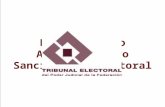 Procedimiento Administrativo Sancionador Electoral.