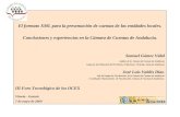 El formato XML para la presentación de cuentas de las entidades locales. Conclusiones y experiencias en la Cámara de Cuentas de Andalucía. Samuel Gómez.