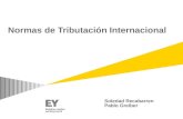 Normas de Tributación Internacional Soledad Recabarren Pablo Greiber.