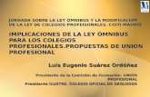 JORNADA SOBRE LA LEY ÓMNIBUS Y LA MODIFICACIÓN DE LA LEY DE COLEGIOS PROFEISONALES. COITI MADRID IMPLICACIONES DE LA LEY ÓMNIBUS PARA LOS COLEGIOS PROFESIONALES.PROPUESTAS.