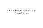 Ciclos biogeoquímicos y Fotosíntesis. Ciclo del agua.