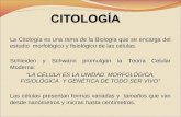 La Citología es una rama de la Biología que se encarga del estudio morfológico y fisiológico de las células. Schleiden y Schwann promulgan la Teoría Celular.
