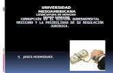 |JESÚS RODRÍGUEZ. UNIVERSIDAD MESOAMERICANA LICENCIATURA EN DERECHO PRIMER SEMESTRE.